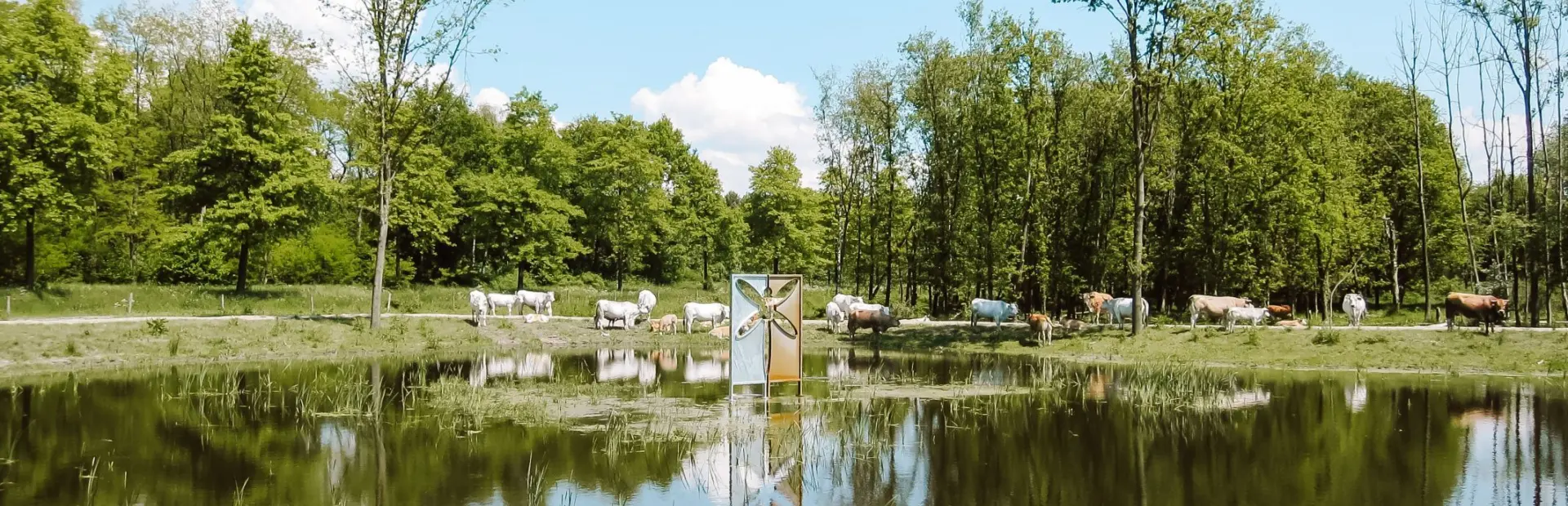 Umgebung Naturist Camping Flevo Natuur Niederlande 1