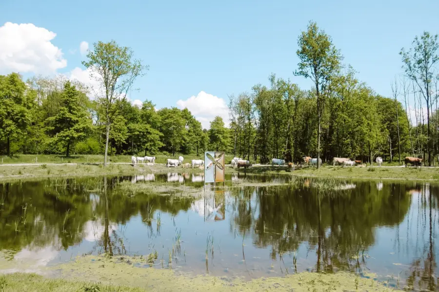 Umgebung Naturist Camping Flevo Natuur Niederlande 1