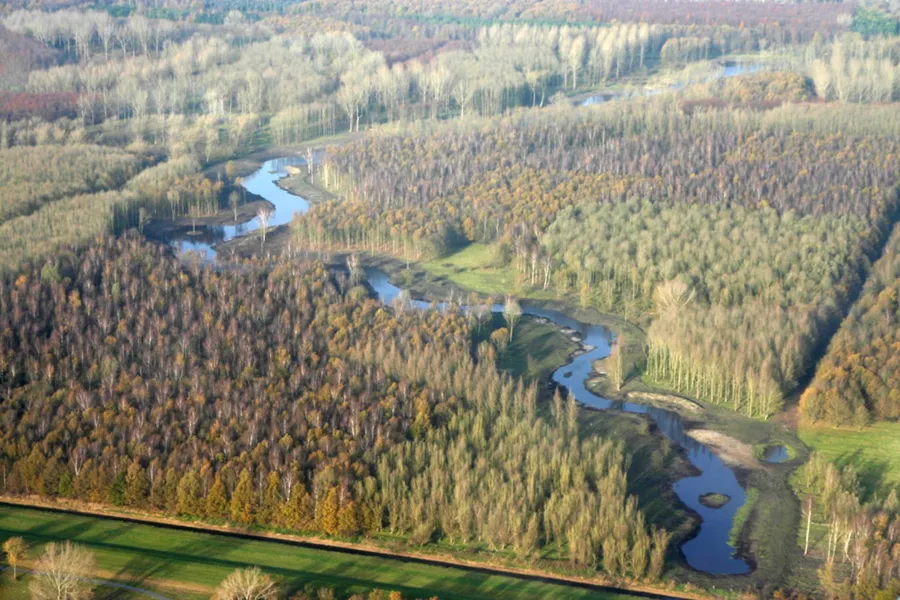 Umgebung Naturist Camping Flevo Nature Niederlande 13