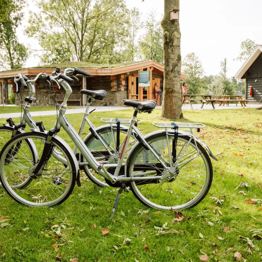 Naturistencampingplatz Niederlande Flevo Natuur 144