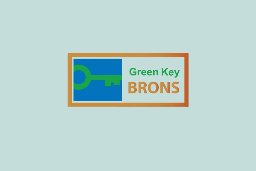 Grüner Schlüssel Bronze