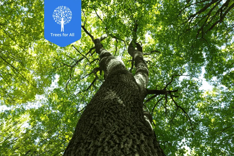 Website-Fotos 2400x1600